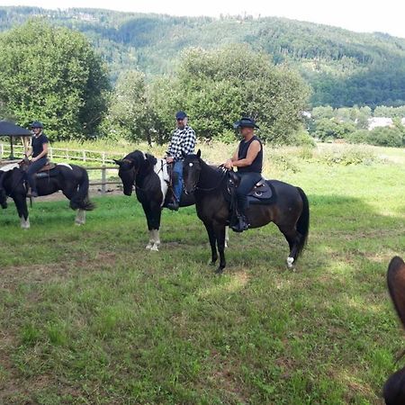 Penzion U Hradilu Vrbno pod Pradědem エクステリア 写真