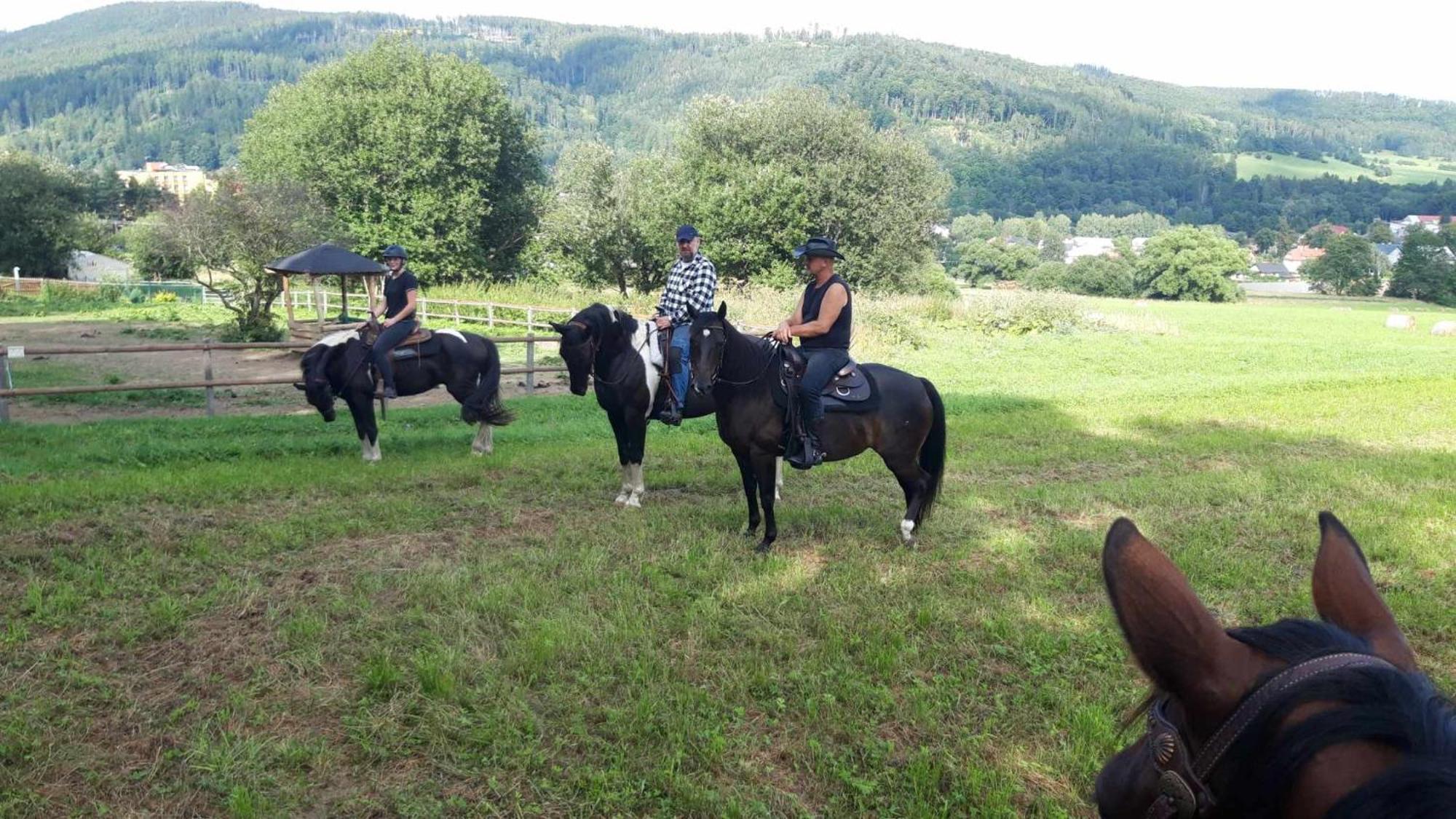Penzion U Hradilu Vrbno pod Pradědem エクステリア 写真