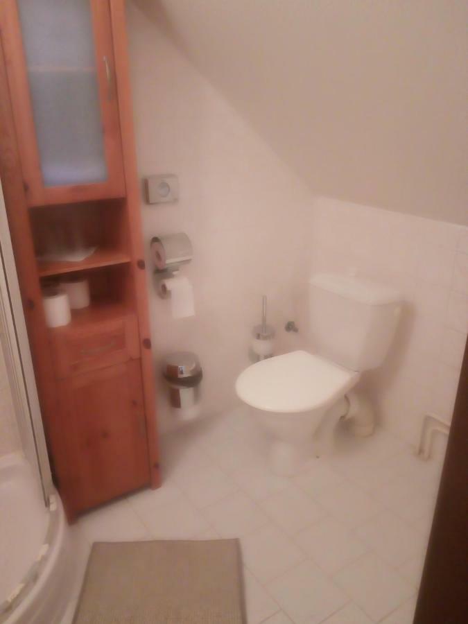 Penzion U Hradilu Vrbno pod Pradědem エクステリア 写真