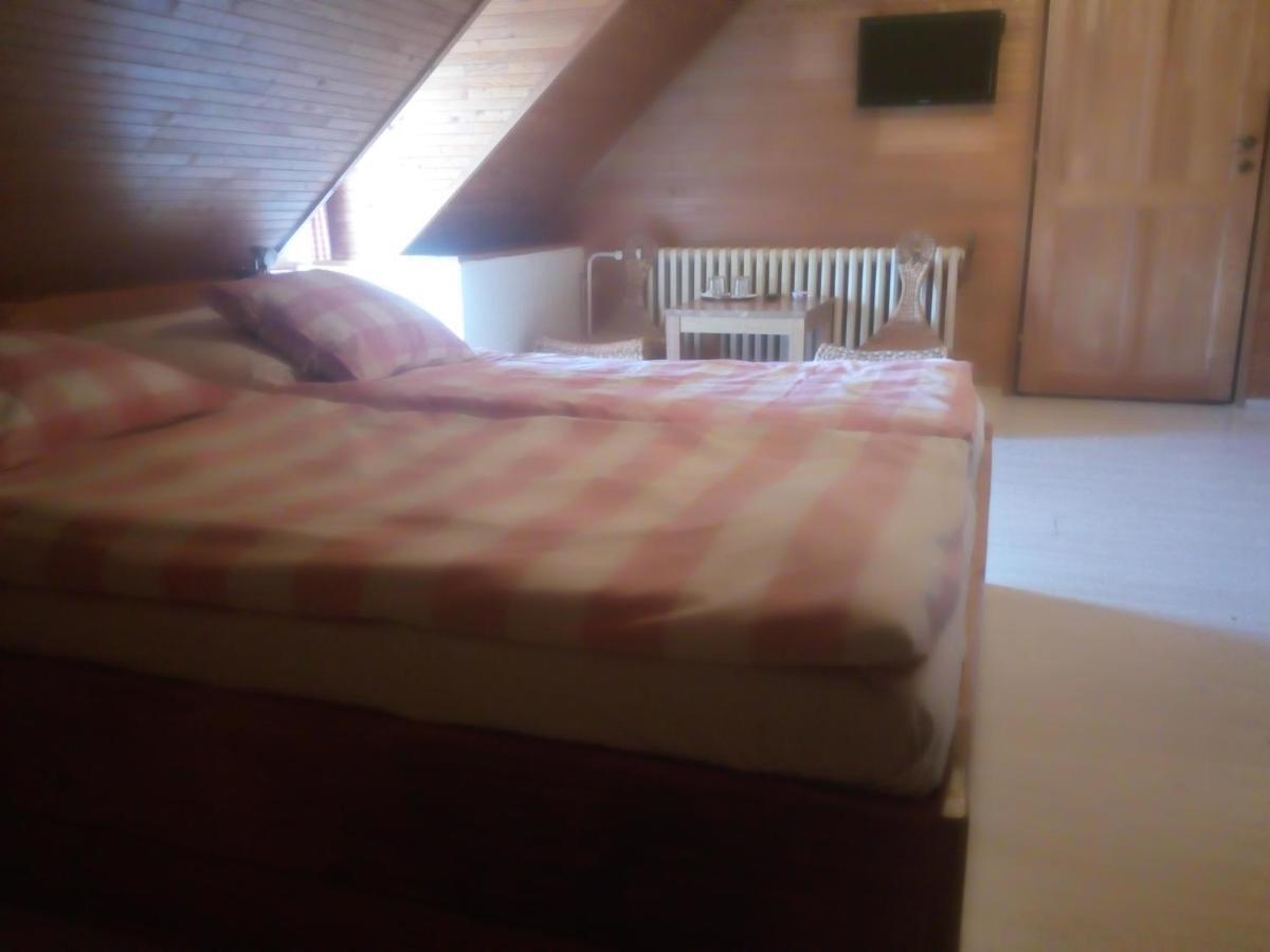 Penzion U Hradilu Vrbno pod Pradědem エクステリア 写真